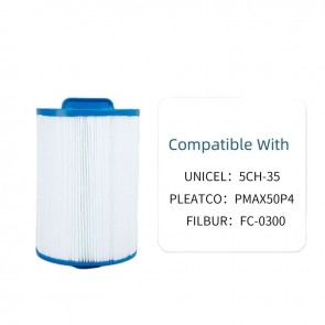 Replacement Swimming Pool Filter